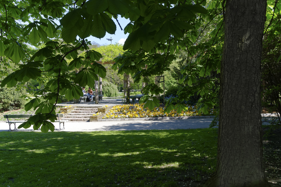 20160509-145826••SrodmieScie•Masovian Voivodeship•Poland
